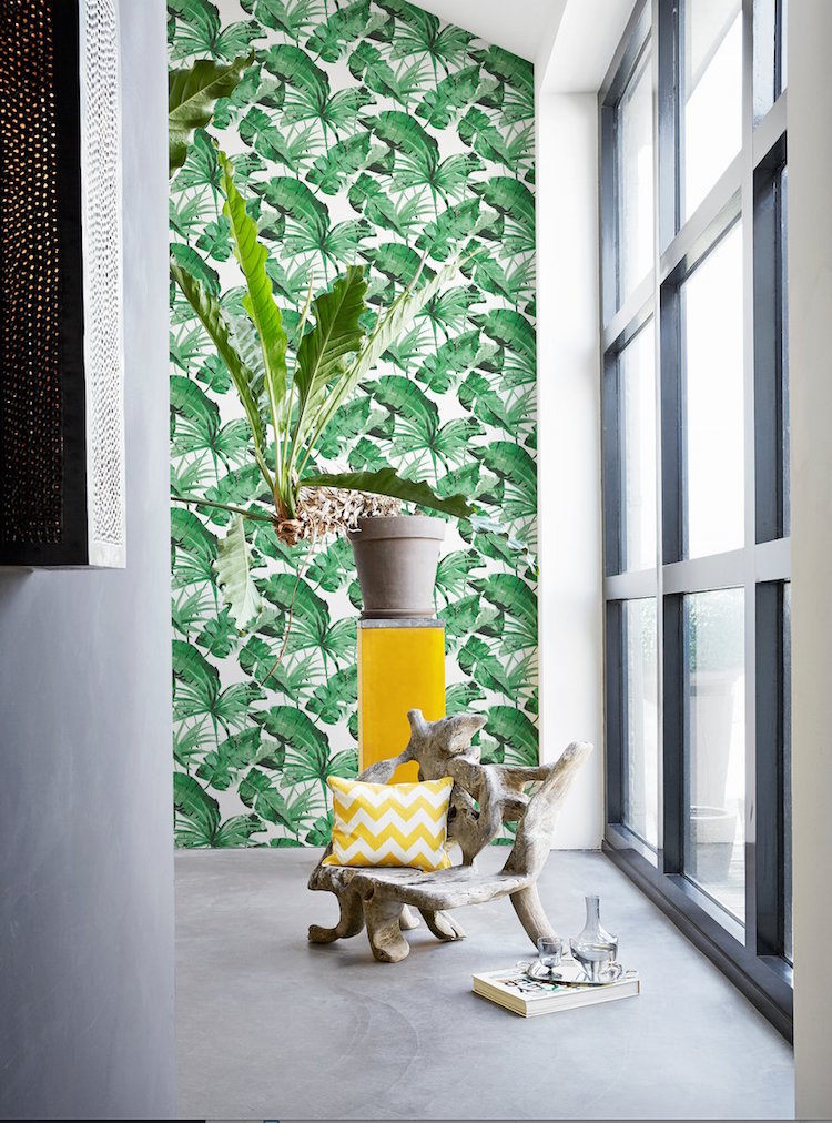 papier peint haut de gamme tropical-motif-feulle-palmier