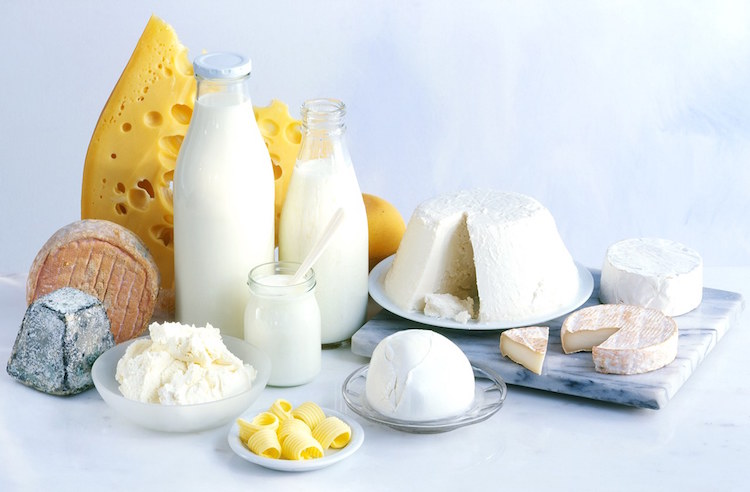 aliments riches en protéines animales produits laitiers
