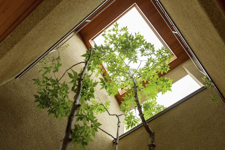 aménagement maison nature