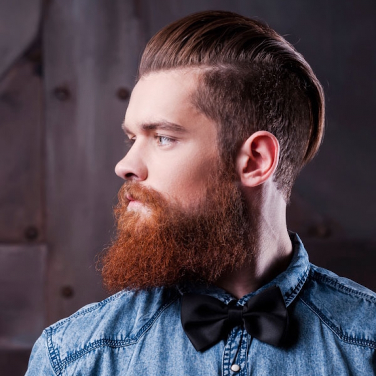 coiffure hipster homme pompadour undercut barbe longue