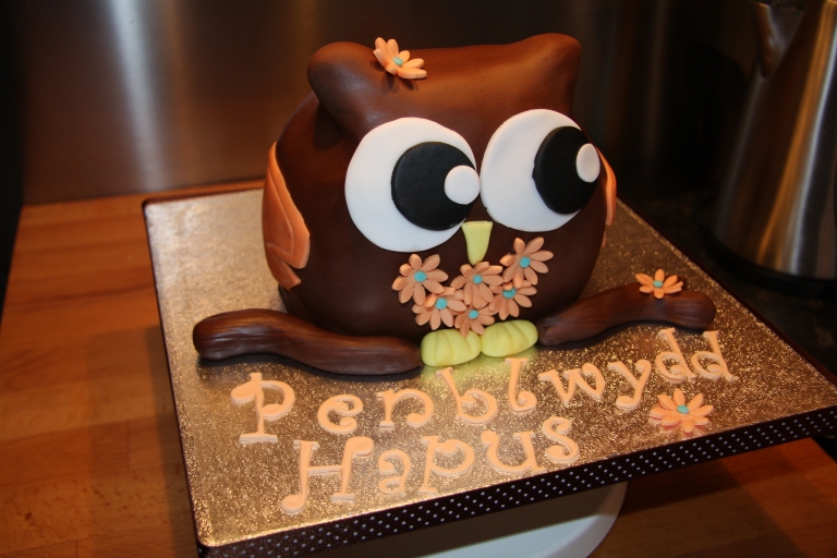 gâteau anniversaire 1 an au chocolat en forme de hibou
