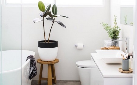 petite salle de bain scandinave chic avec des plantes