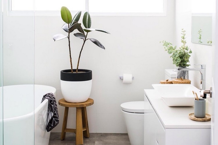 petite salle de bain scandinave chic avec des plantes