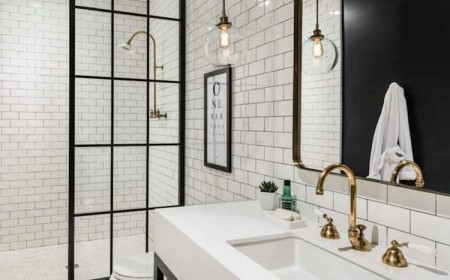 salle de bain noir et blanc paroi douche style verrière
