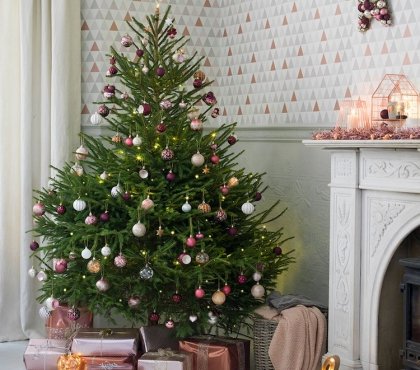 comment choisir son sapin de Noel naturel