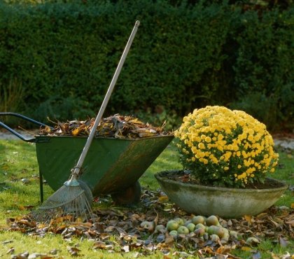 feuilles mortes compost recyclage idées