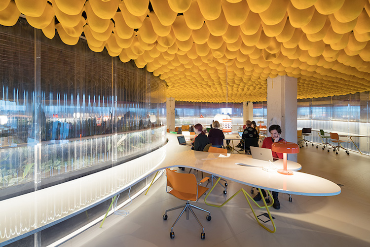 espace de coworking deco plafond chapeaux feutre jaune isolation phonique