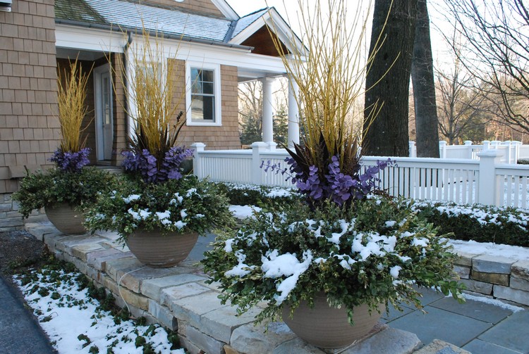jardinière d'hiver comment aménager espace extérieur pendant hiver quelles plantes idées conseils