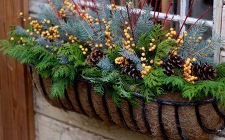 jardinière d'hiver pots fleurs fenêtre idée aménagement espace outdoor