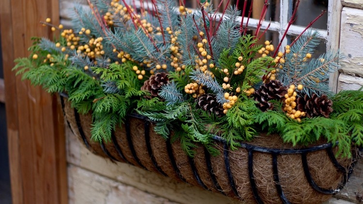 jardinière d'hiver pots fleurs fenêtre idée aménagement espace outdoor