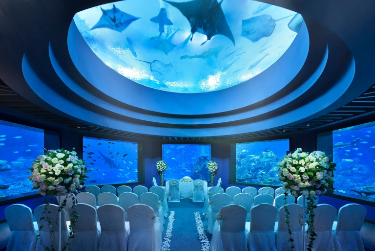 mariage original aquarium magique