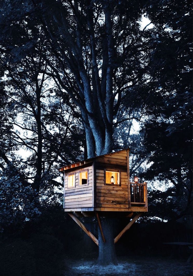 cabane dans les arbres planches bois eclairee nuit