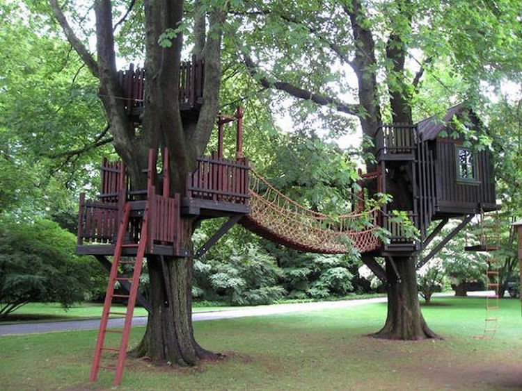 cabane dans les arbres pour enfants pont suspendu