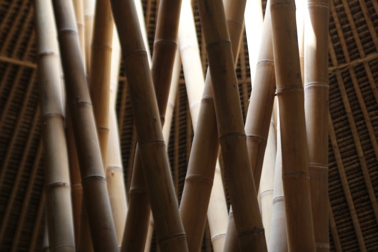 construction en bambou école verte à Bali détails de la construction