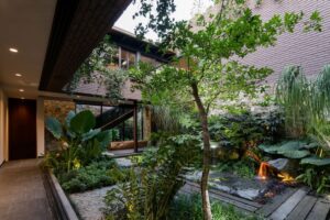 cour intérieure verdure maison