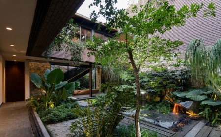 cour intérieure verdure maison