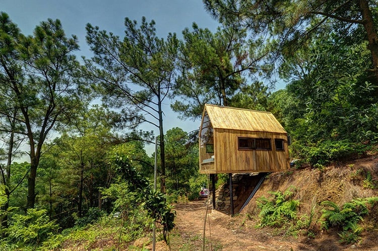 façade vitrée bardage bois petite maison vacances sur les arbres Vietnam