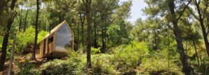 façade vitrée toit bois fenêtre sur mesure petite cabane vietnamienne pleine nature