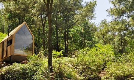 façade vitrée toit bois fenêtre sur mesure petite cabane vietnamienne pleine nature