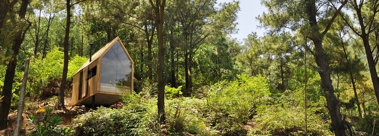 façade vitrée toit bois fenêtre sur mesure petite cabane vietnamienne pleine nature