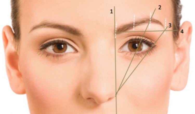 forme de sourcil selon visage tutoriel rapide avec crayon comment déterminer soi-même son propre forme