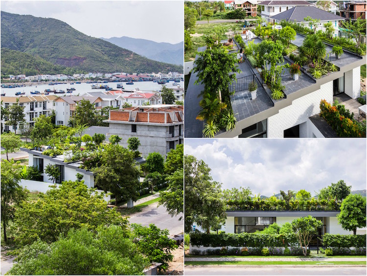 maison avec toit terrasse vegetalise Vo Trong Nghia Architects ICADA