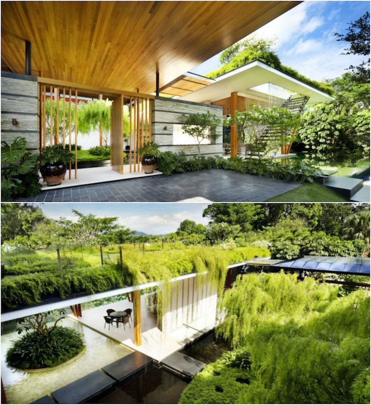 maison toit plat vegetalise Willow House Guz Architects
