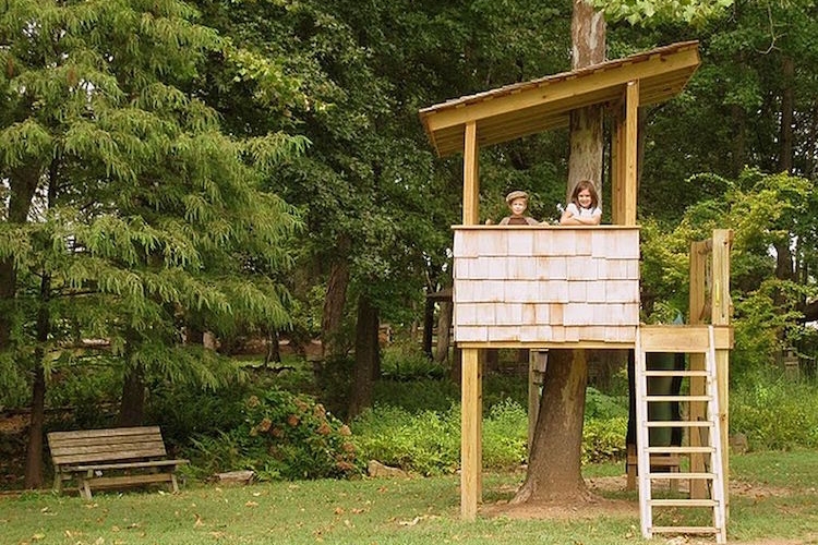 Découvrez dans notre galerie la cabane dans les arbres de vos rêves — free download