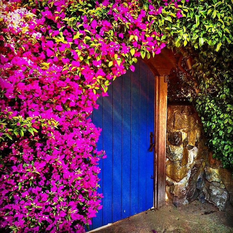 porte d'entrée sur mesure en bois peint bleu style champêtre chic couronne porte fleurs