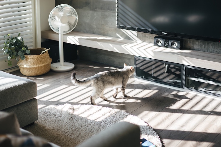 ameublement design - meuble tv pour chat tapis rond