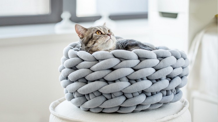 couverture grosse maille accessoire chat panier tricoté