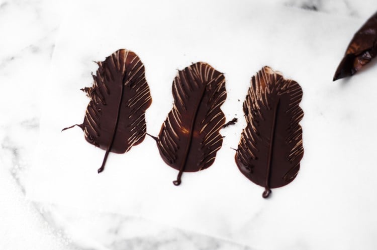 décoration en chocolat plumes chocolat noir technique facile images