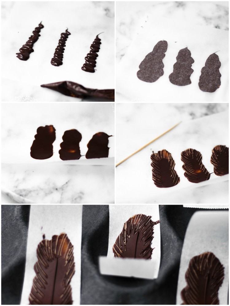 décoration en chocolat tutoriel facile pour réaliser plumes chocolat noir