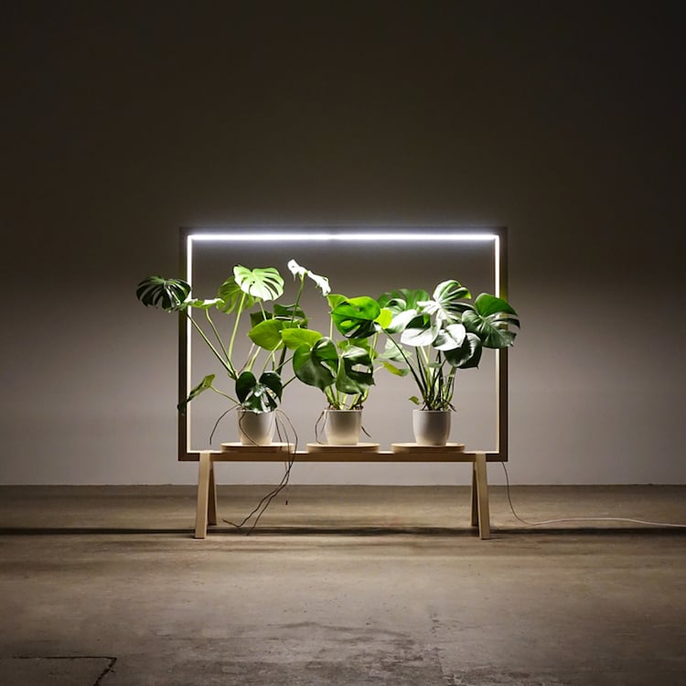 étagère porte-plante cadre photo minimaliste eclairage led integre