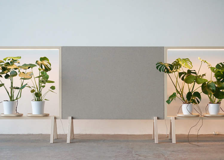 étagère porte-plante diviseur piece minimaliste