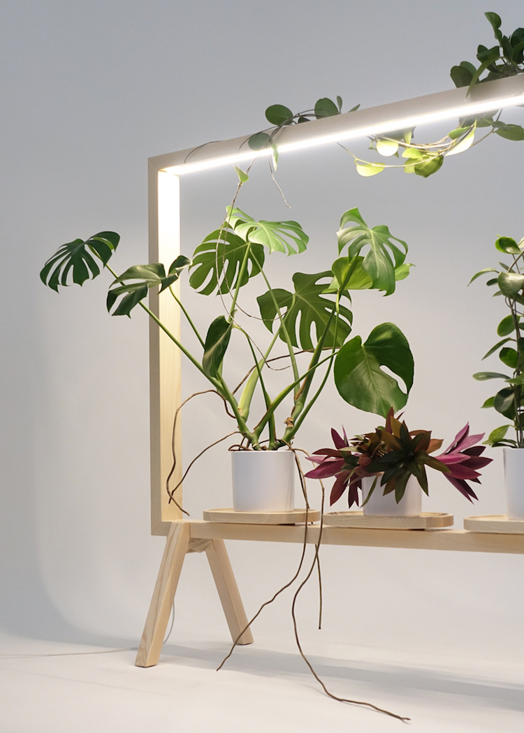 etagere porte plante eclairage led integre