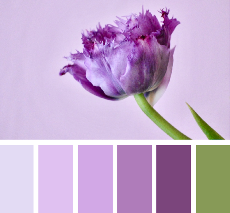 idée de palette de couleurs violettes pour la déco de table de Pauques