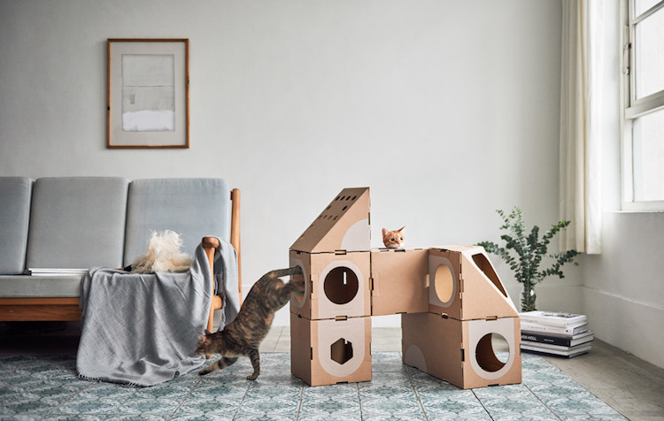 meubles pour chats aire de jeux carton design modulaire