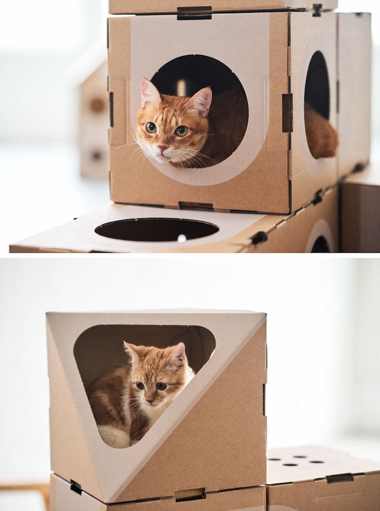 meubles pour chats cachette pour chats modules carton recycle