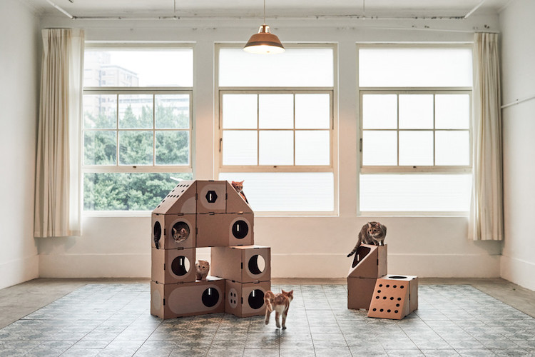 meubles pour chats carton design modulaire