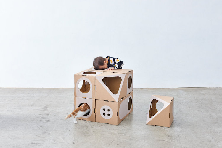 meubles pour chats design A Cat Thing modules carton recycle