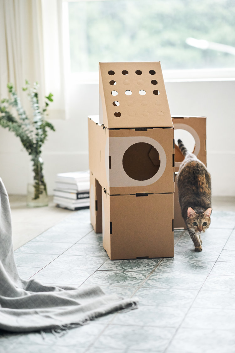 meubles pour chats modulaires carton recycle aire jeux chats