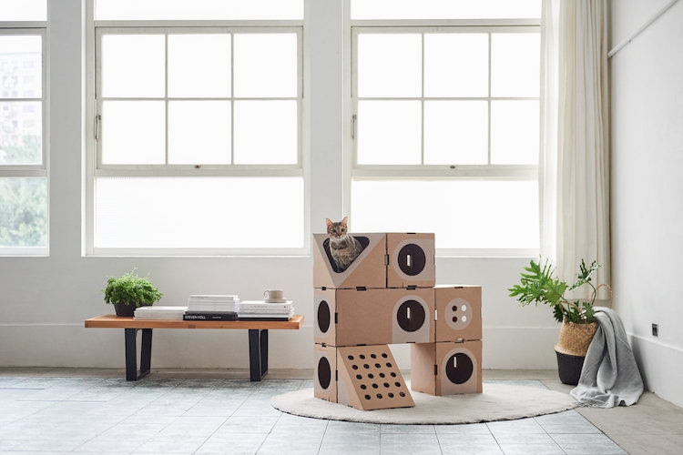 meubles pour chats modulaires carton recycle non toxique Room Collection