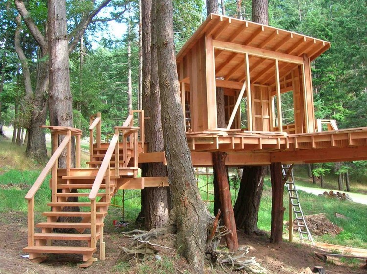 aire de jeux pour jardin stylée enfants idée cabane bois installée arbre avec escalier