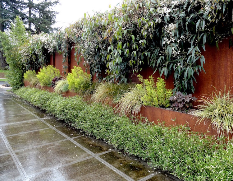 amenagement paysager moderne bordure jardin acier corten graminees ornementales