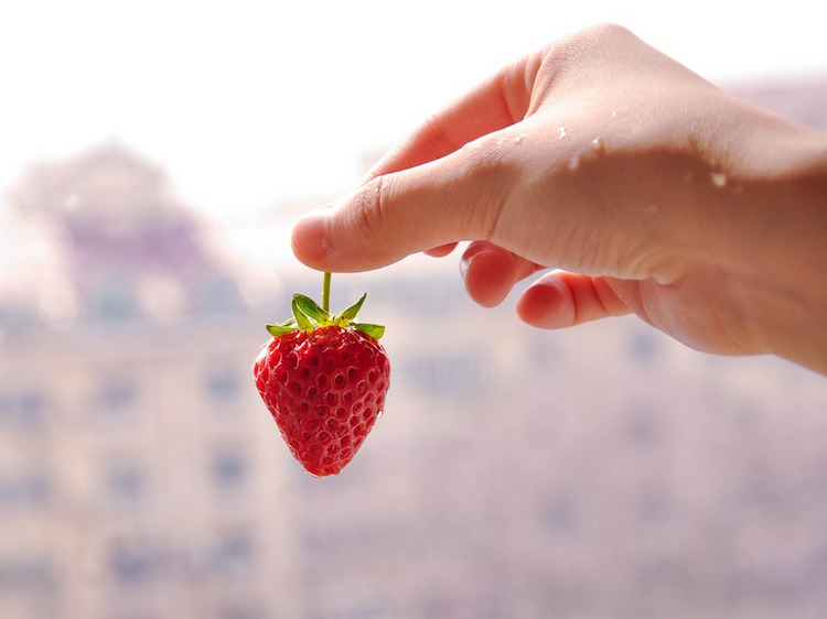 bienfaits des fraises beauté petit fruit grand potentiel