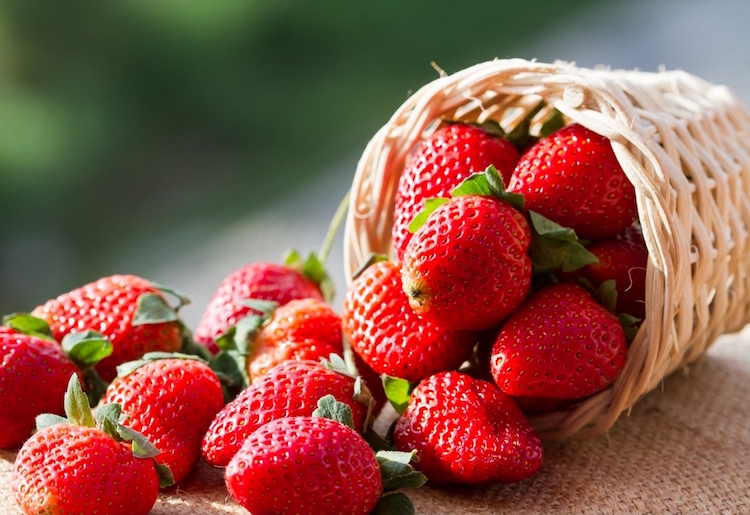 bienfaits des fraises pour la santé dans l'ensemble
