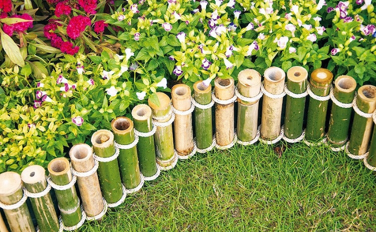 bordure pour jardin bambou