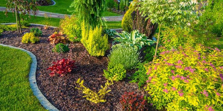 bordure pour jardin