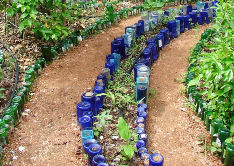 bordure pour jardin originale bouteilles verre